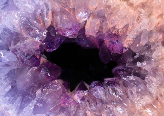 Fondos purpura